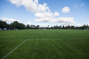 Bild 57 - Frauen TSV Wiemersdorf - SV Wahlstedt : Ergebnis: 5:1